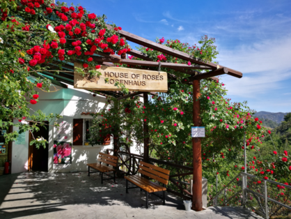 The Rose Factory